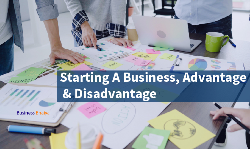 Starting a business advantage disadvantage
